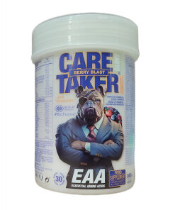 Caretaker II EAA Glow