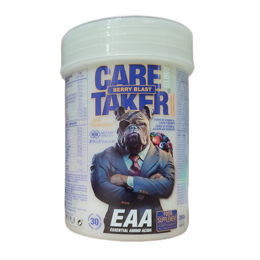 Caretaker II EAA Glow