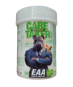 Caretaker II EAA Glow
