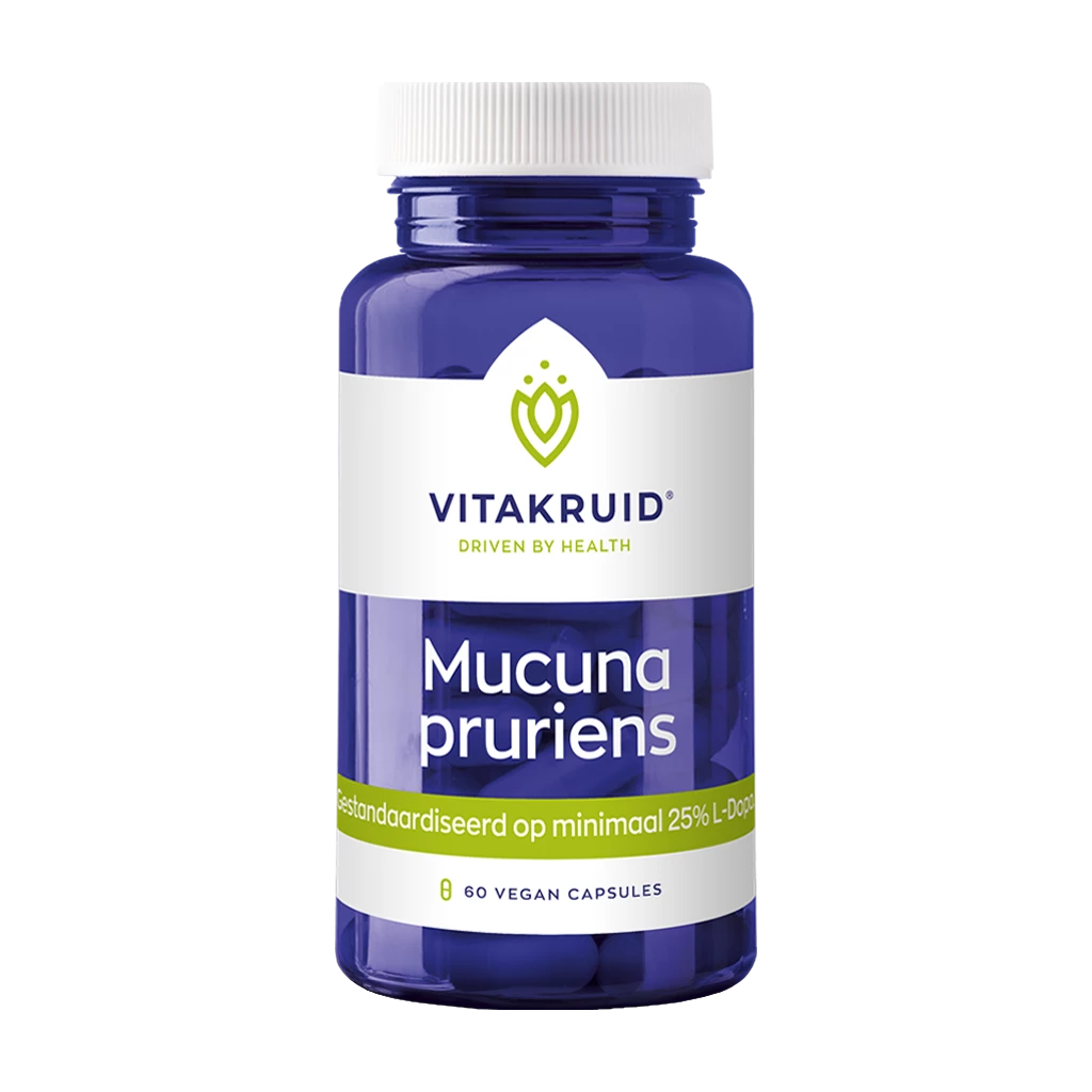Mucuna Pruriens – Mucuna Pruriens Extract