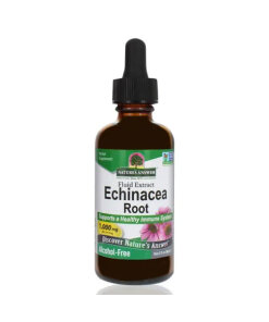 Echinacea Root 1000mg – Traditionell Örtdroppar