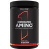 Energized Amino – Fruit Punch