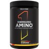 Energized Amino – Persika & Mango