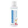 Evogen - Carnigen flytande Victory Punch + 496 ml