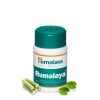 Himalaya - Rumalaya Forte + 60 tabletter