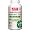 Jarrow Formulas - Saccharomyces boulardii + MOS + 90 vegetabiliska kapslar