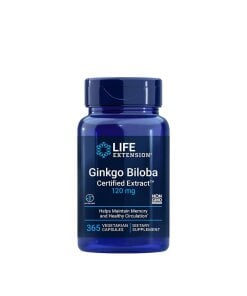 Life Extension - Certifierat Ginkgo biloba-extrakt
