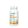 NOW Foods - BerryDophilus Tuggtabletter för barn
