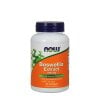 NOW Foods - Boswelliaextrakt + 500 mg