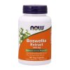 NOW Foods - Boswelliaextrakt plus gurkmeja rotextrakt 250 mg + 120 kapslar