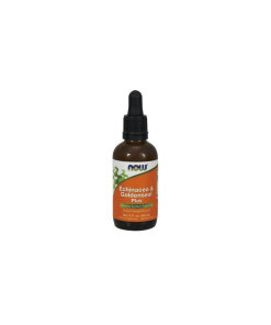 NOW Foods - Echinacea och Goldenseal Plus + 60 ml