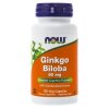 NOW Foods - Ginkgo biloba 60 mg + 120 vegetariska kapslar