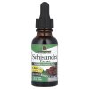 Nature's Answer - Schisandraextrakt 2000 mg + 30 ml