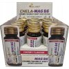 Olimp Nutrition - Chela Mag B6 Krampshot