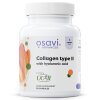 Osavi - Kollagen Typ II med hyaluronsyra + 30 kapslar