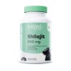 Osavi – Shilajit 500 mg