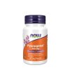 Pycnogenol 100mg – 60 vegetariska kapslar