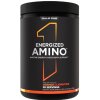 Rule One – Energized Amino med smak av apelsin och clementin