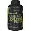 Stacker2 Europe - Amino Xplode + 10 000 mg