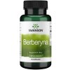 Swanson - Berberin 400 mg + 60 kapslar