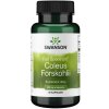 Swanson - Fullspektrum Coleus forskohlii + 400 mg