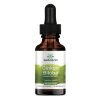 Swanson - Ginkgo biloba flytande extrakt + 29 ml
