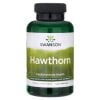 Swanson - Hagtornsextrakt 500 mg + 120 kapslar