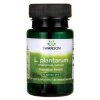 Swanson - L. plantarum inre tarmstöd + 30 kapslar