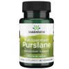 Swanson - helt spektrum portlak 400 mg + 60 kapslar