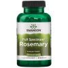 Swanson - rosmarin 400 mg + 90 kapslar
